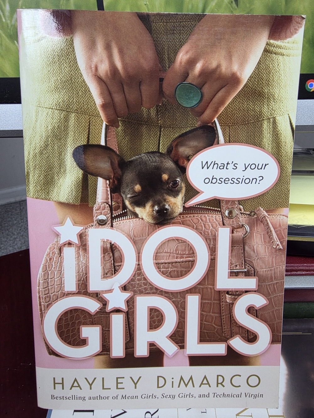 Idol Girls: What's Your Obsession? by Hayley DiMarco - Paperback (Christian Teen